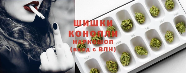 сатива Белоозёрский