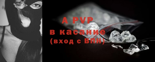 сатива Белоозёрский