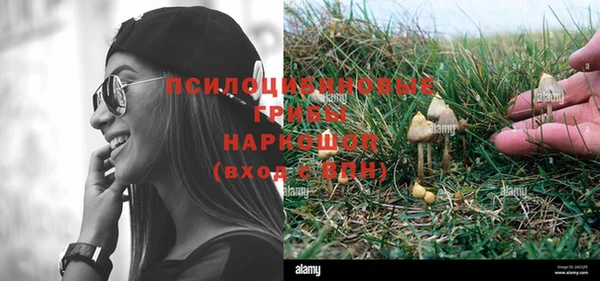 сатива Белоозёрский