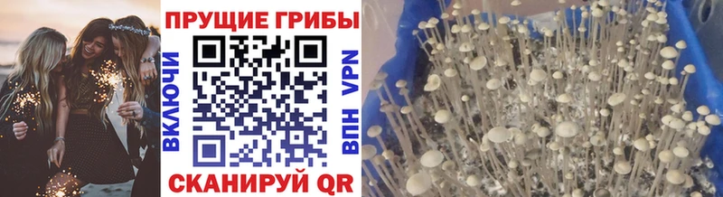 Галлюциногенные грибы Magic Shrooms  darknet как зайти  Реж 