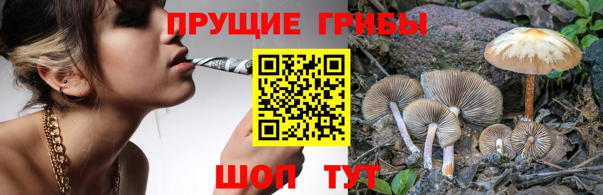 Реж  Псилоцибиновые грибы прущие грибы  Вход с VPN 